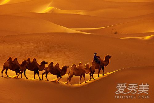沙漠骆驼是民谣吗 沙漠骆驼歌词的意思含义介绍