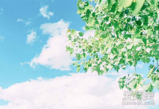 世界上最厉害的催眠曲 放松效果最好的催眠曲有哪些