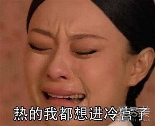 抖音你耶不耶是什么歌 抖音你耶不耶是什么意思