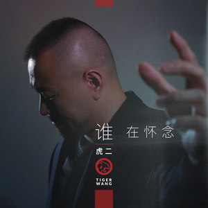 抖音谁在怀念从前是什么歌哪里听 虎二谁在怀念歌词