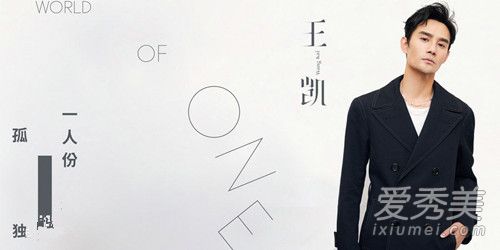 王凯一人份的孤独歌词是什么意思 王凯一人份的孤独歌词含义