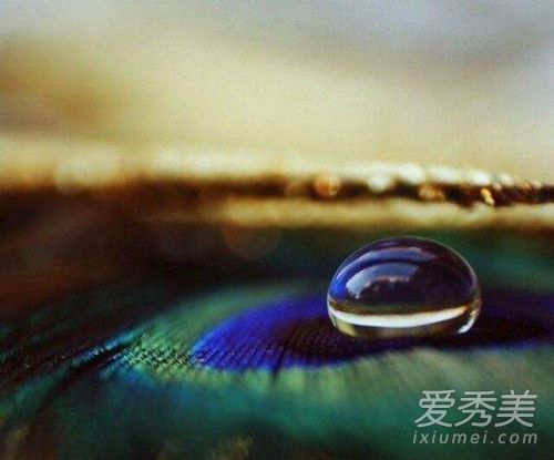 抖音看一只蝴蝶从蝉蛹到破茧是什么歌谁唱的?