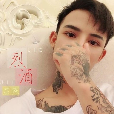 抖音喝过最烈的酒才显得我悲伤是什么歌 谁唱的 完整歌词