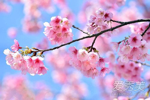 抖音是谁醉酒策马我嘶吼望断天涯是什么歌谁唱的?