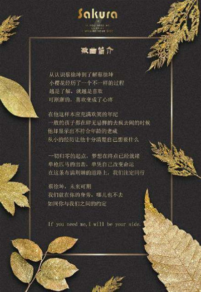 蔡徐坤应援曲叫什么 蔡徐坤应援曲Wanna Say歌词