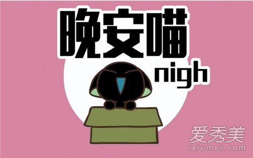 抖音早安喵午安喵晚安喵喵喵歌词完整版