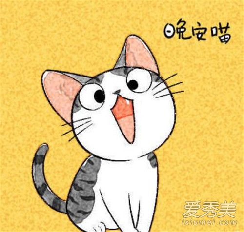 抖音早安喵午安喵晚安喵喵喵歌词完整版