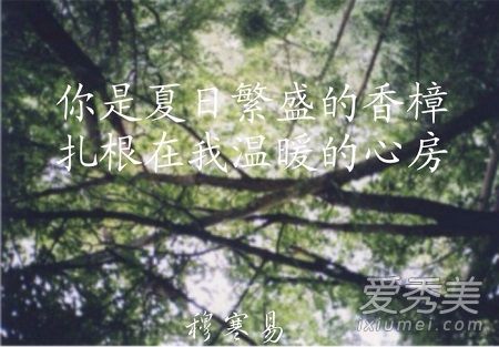 夏至未至11集插曲是什么 夏至未至插曲追光者歌词