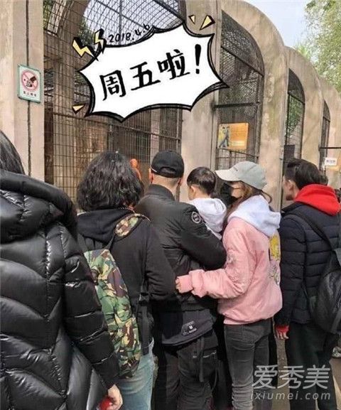 Baby逛动物园是什么情况 Baby在哪里逛动物园