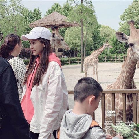 Baby逛动物园是什么情况 Baby在哪里逛动物园
