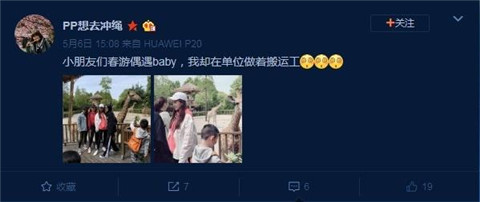 Baby逛动物园是什么情况 Baby在哪里逛动物园