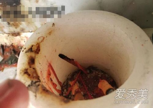 蓝洁瑛墓碑被熏黑 这到底是怎么回事?