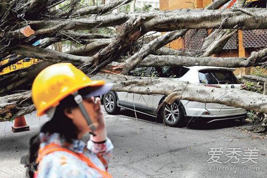 蔡依林奖杯震断 这到底是个什么梗？