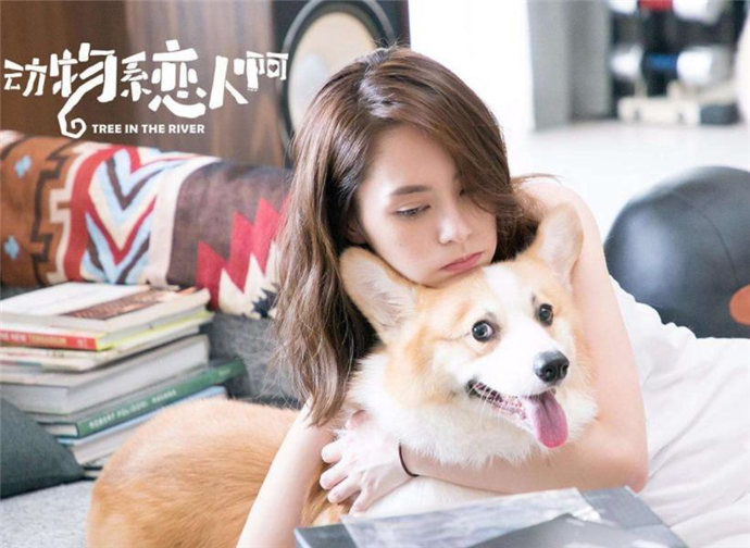 阿娇怀孕了吗 阿娇老公资料曝光两人外貌cp感十足