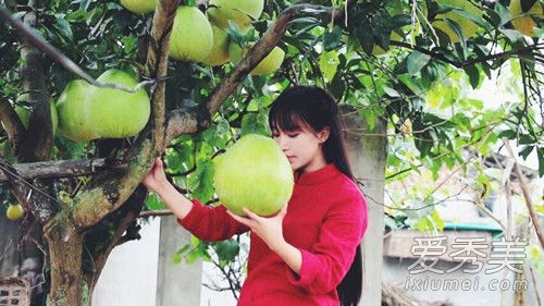 没人觉得李子柒很假吗 李子柒个人资料扒皮黑历史