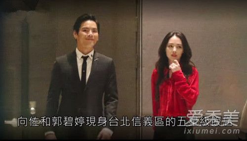向佐求婚郭碧婷成功了吗 向佐求婚郭碧婷 这到底是个什么梗?