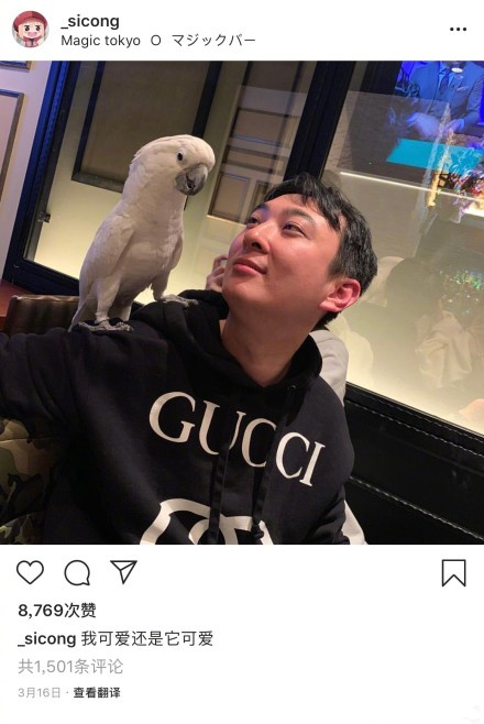 这是要开动物园吗？王思聪新宠柯尔鸭成网红