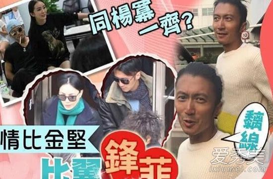 惊呆了!谢霆锋否认恋杨幂 这到底是个什么梗？