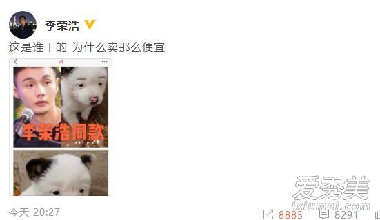 李荣浩同款狗狗什么情况 网友:给我网址我立刻去买!