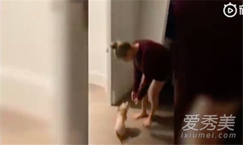 比伯晒婚后生活 妻子海莉居然没穿裤子出镜