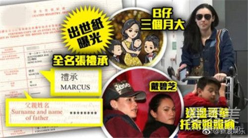 张柏芝三胎出生证 背后原因曝光让人心疼