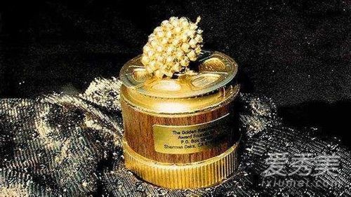金酸梅奖提名都有哪些 金酸梅奖提名名单