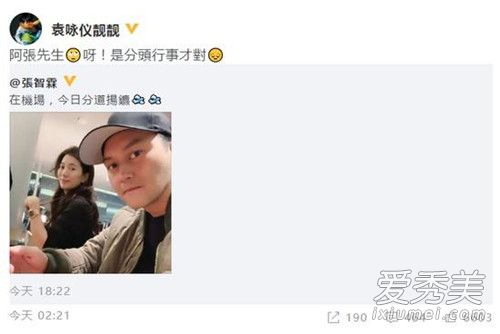 袁咏仪纠正张智霖 用错成语差点被误会离婚