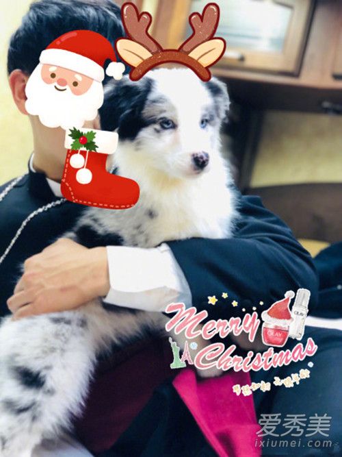 黄子韬被爱犬咬伤严重吗 排队打狂犬疫苗直喊累!