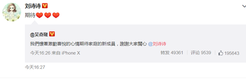 刘诗诗怀孕多久了 刘诗诗怀孕是男孩还是女孩