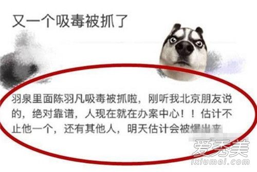 陈羽凡吸毒是怎么回事 陈羽凡吸毒被抓真相