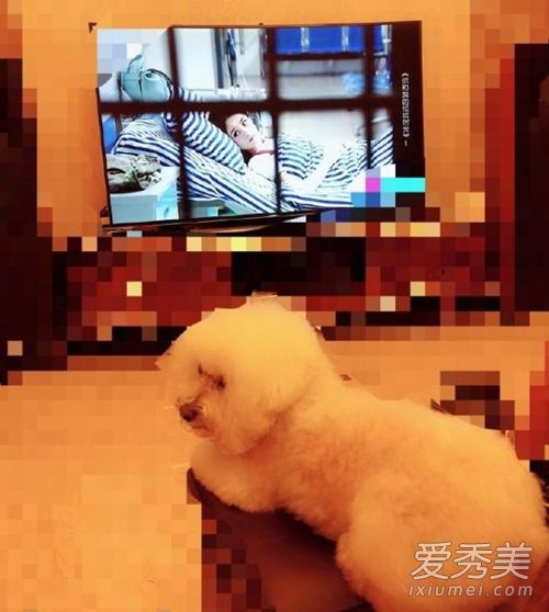 赵丽颖婚后首晒照怎么回事 赵丽颖婚后为什么晒照