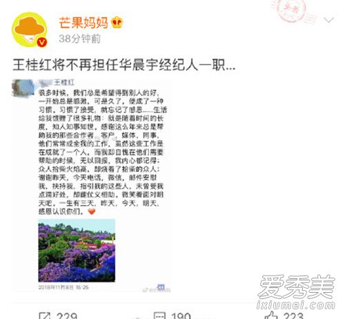 华晨宇经纪人离职怎么回事 华晨宇经纪人王桂红离职原因
