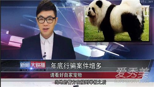大鹏从搜狐离职怎么回事 大鹏从搜狐离职的原因