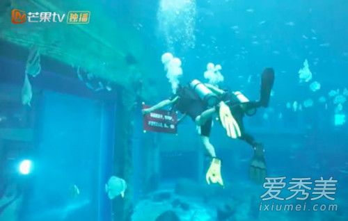 郭晓东水下求婚怎么回事 郭晓东水下求婚是什么节目