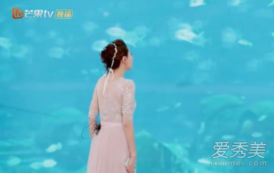 郭晓东水下求婚怎么回事 郭晓东水下求婚是什么节目