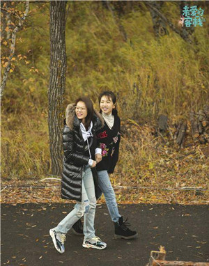 刘涛胡杏儿什么关系 刘涛胡杏儿怎么认识的