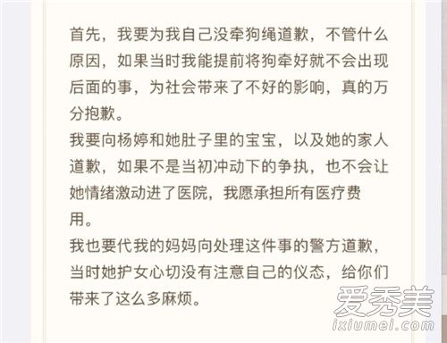 Saya否认殴打孕妇怎么回事 Saya否认殴打孕妇说了什么