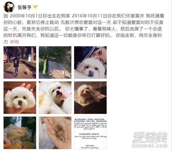 张馨予发文悼念是怎么回事 张馨予发文悼念什么