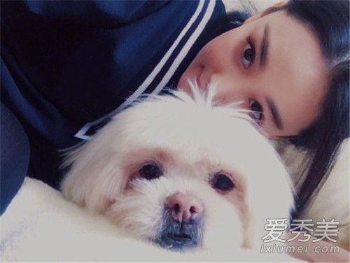 张馨予发文悼念怎么回事 张馨予发文悼念谁