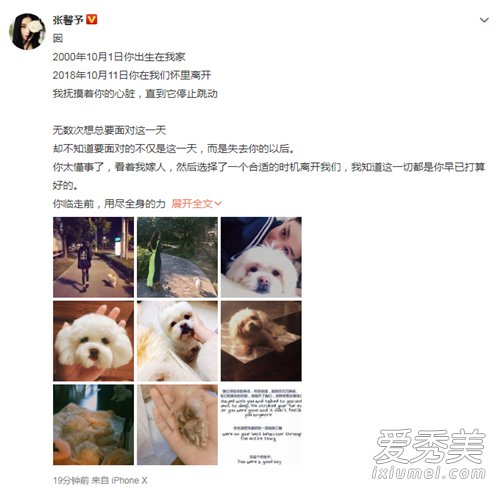 张馨予发文悼念是怎么回事 张馨予发文悼念原因