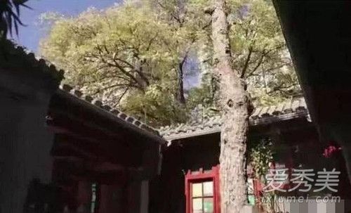 李晨四合院曝光是怎么回事 李晨四合院曝光是什么样子图片
