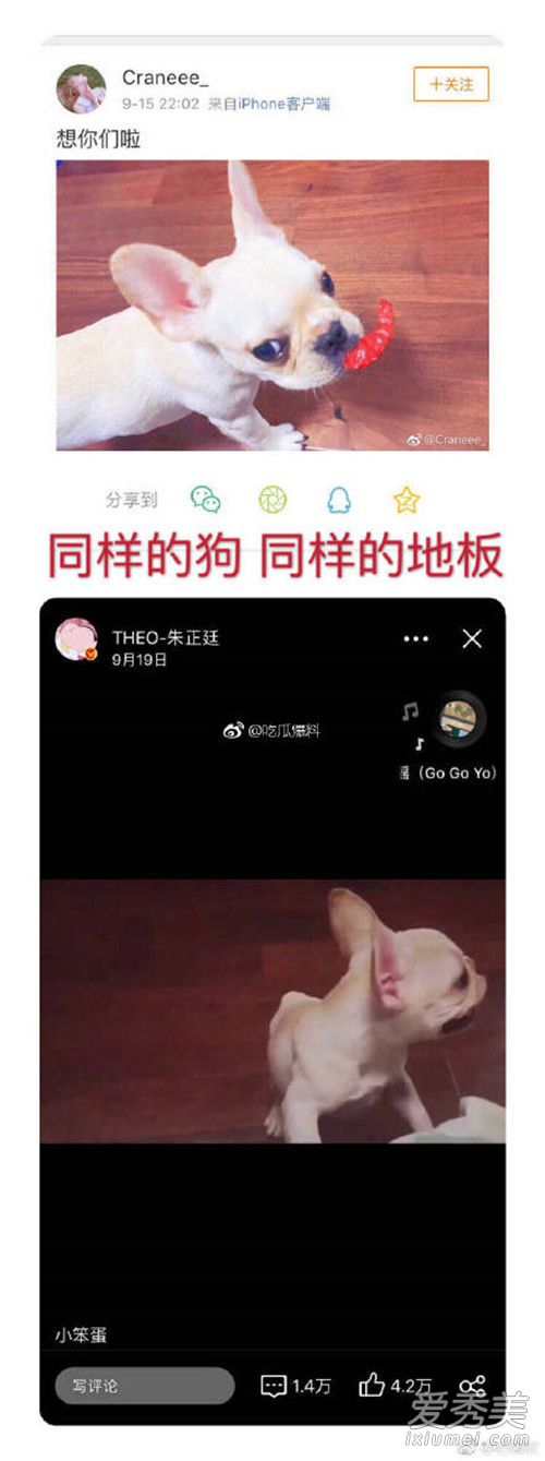 朱正廷女朋友是谁 朱正廷女朋友是真的吗