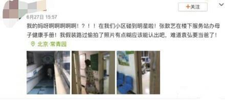 张歆艺怀孕是怎么回事 张歆艺怀孕几个月了