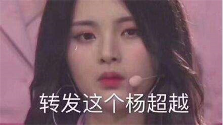 杨超越锦鲤什么梗 杨超越锦鲤表情包