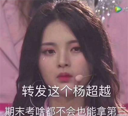 杨超越锦鲤什么梗 杨超越锦鲤表情包