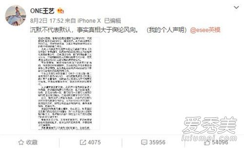 王艺回怼怎么回事 王艺回怼谁说了什么