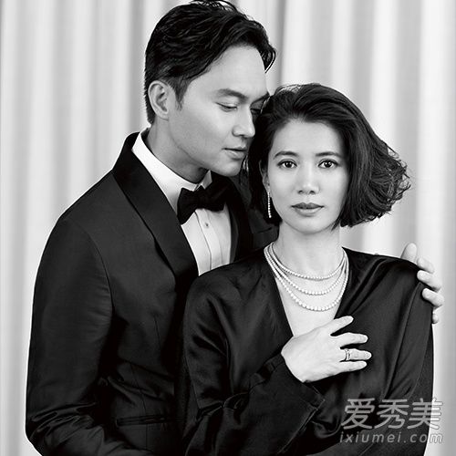 袁咏仪公审张智霖是怎么回事 袁咏仪公审张智霖是什么情况