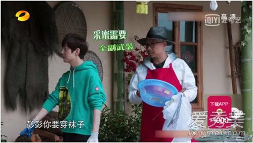 何炅为什么要力荐彭昱畅参加向往的生活 何炅和彭昱畅什么关系