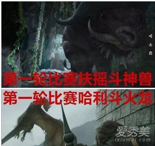 《扶摇》抄袭哈利波特怎么回事 《扶摇》抄袭了什么