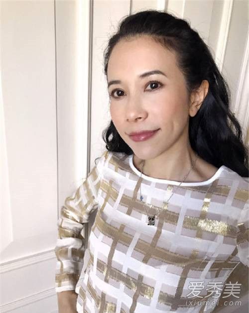 王菲项链李嫣设计是怎么回事 王菲项链长什么样子照片